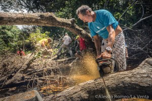 TPI 2015C Alessio Romeo-8588