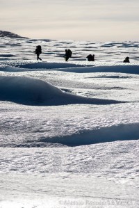 ptg2016b-alessio-romeo-0053