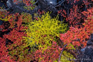 ptg2016b-alessio-romeo-9710