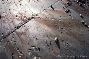 ptg2016b-alessio-romeo-9809