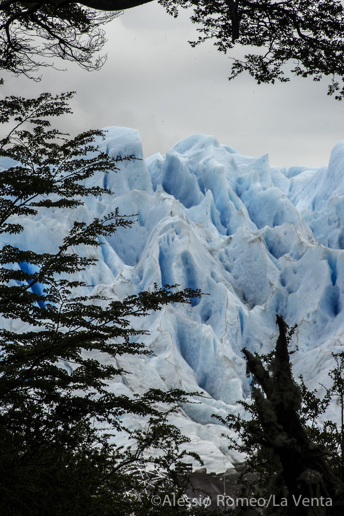 PTG 2017A Alessio Romeo-02554