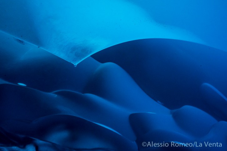 PTG2017B Alessio Romeo-04700